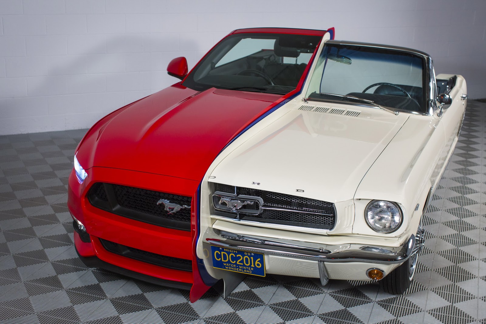 Ford_Mustang%20(5).jpg