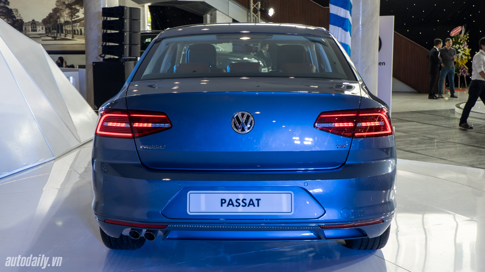 Passat%20(5).jpg