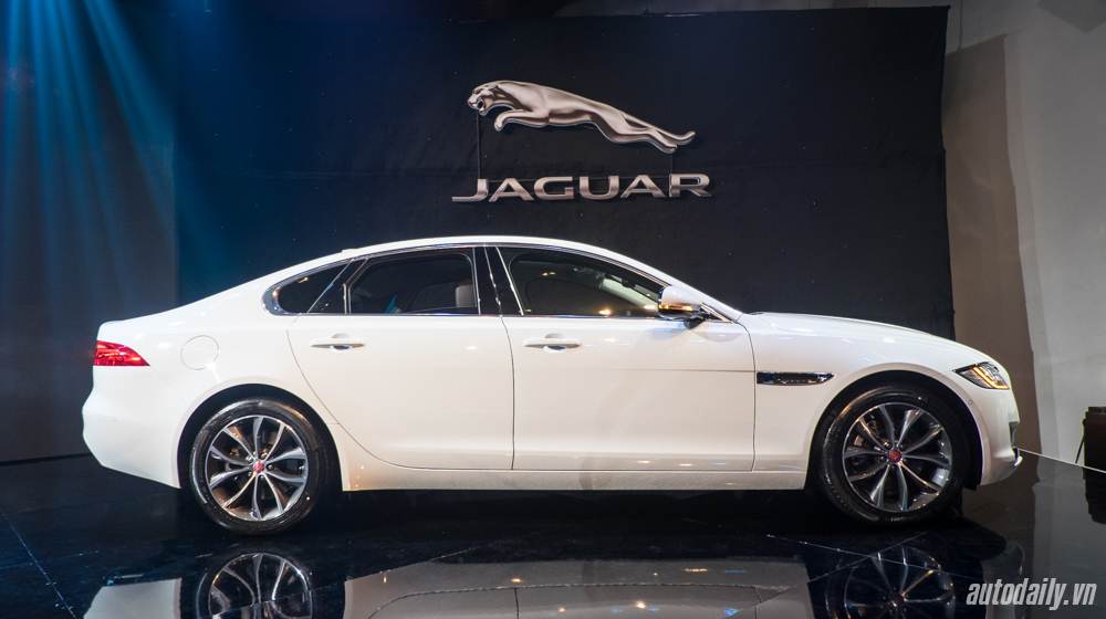 Jaguar%20XF%20(2).jpg