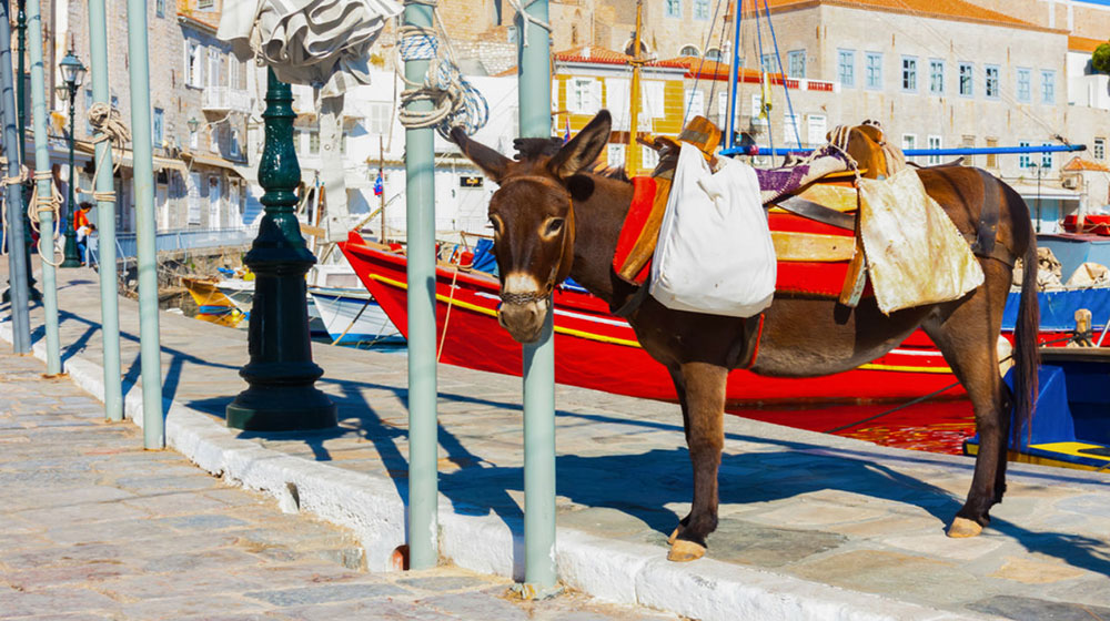 Hydra-Island_Greece.jpg