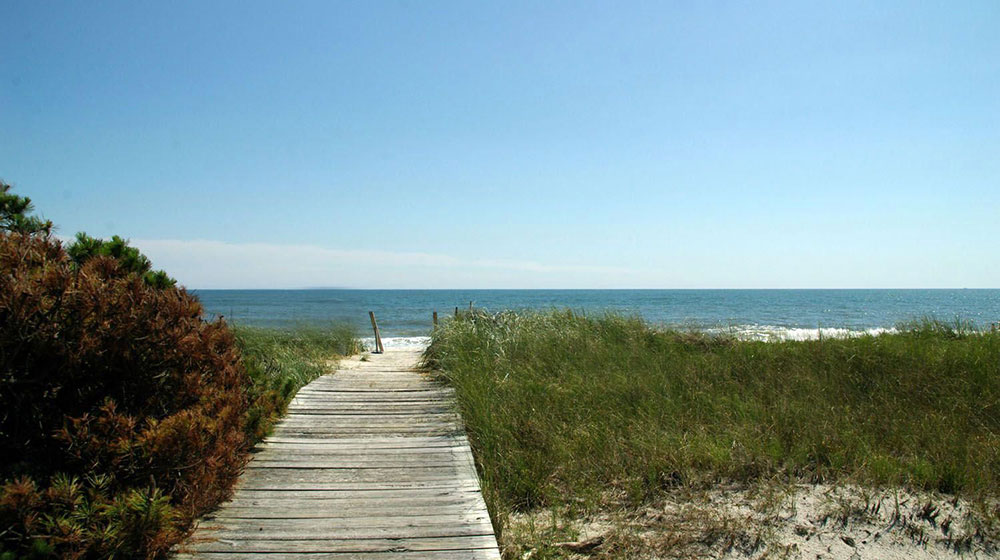 fire-island-new-york-beaches__large.jpg