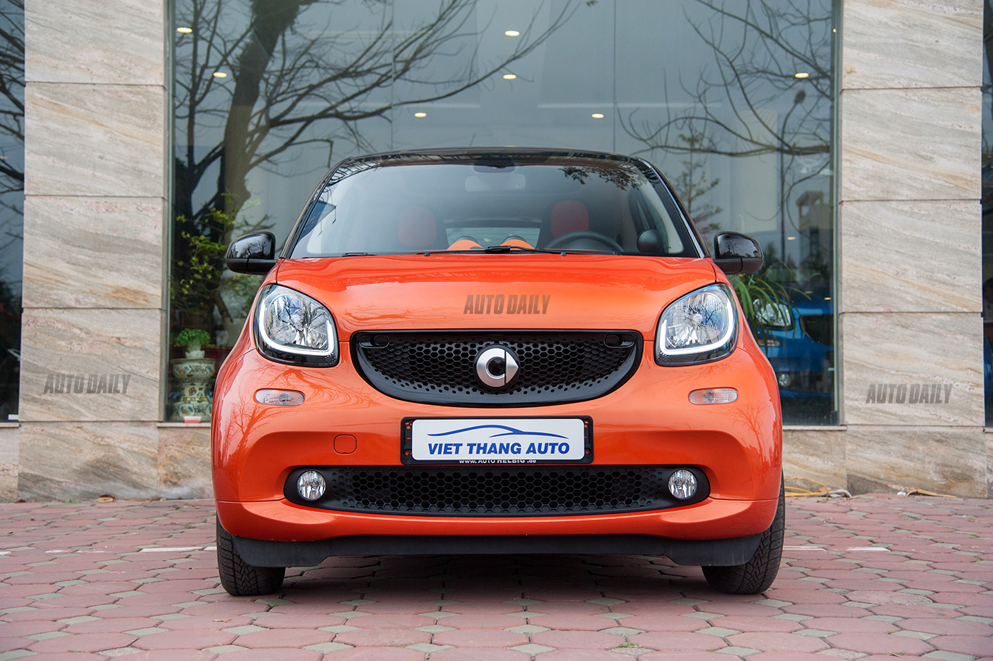 smart-fortwo-19.jpg