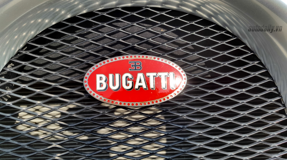 bugatti-veyron-14.JPG