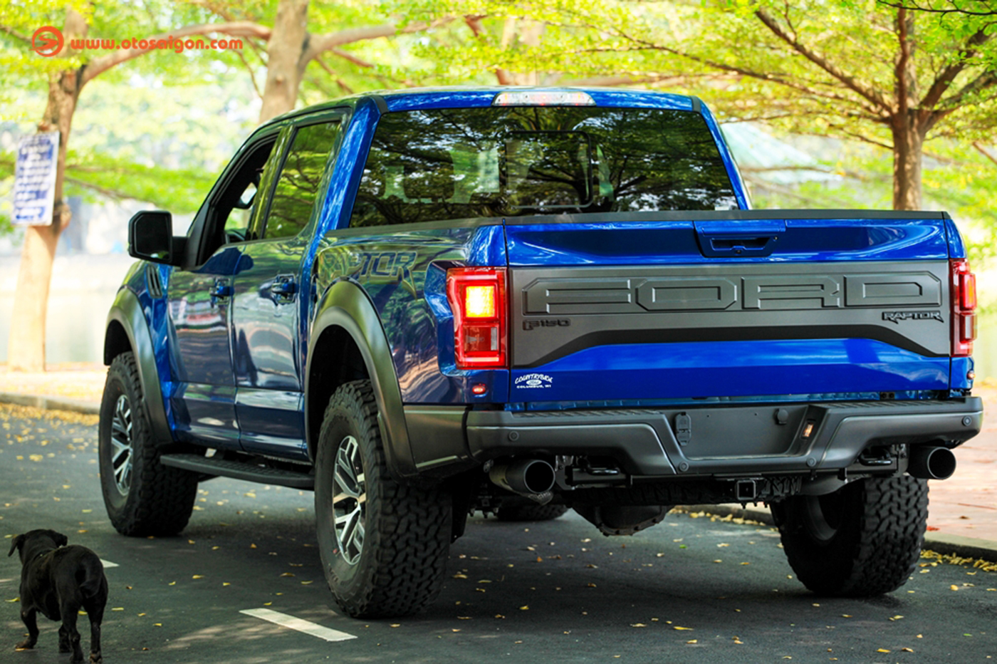 ford-f150-raptor-6.jpg