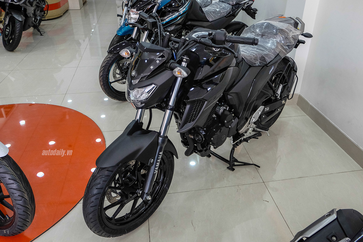 yamaha-fz-25-2017-27.jpg