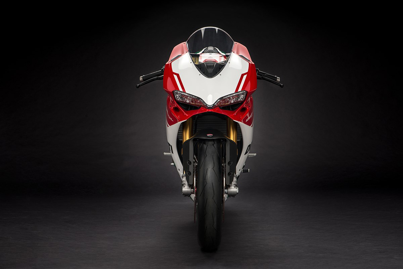 ducati-1299-panigale-r-final-edition-19.jpg