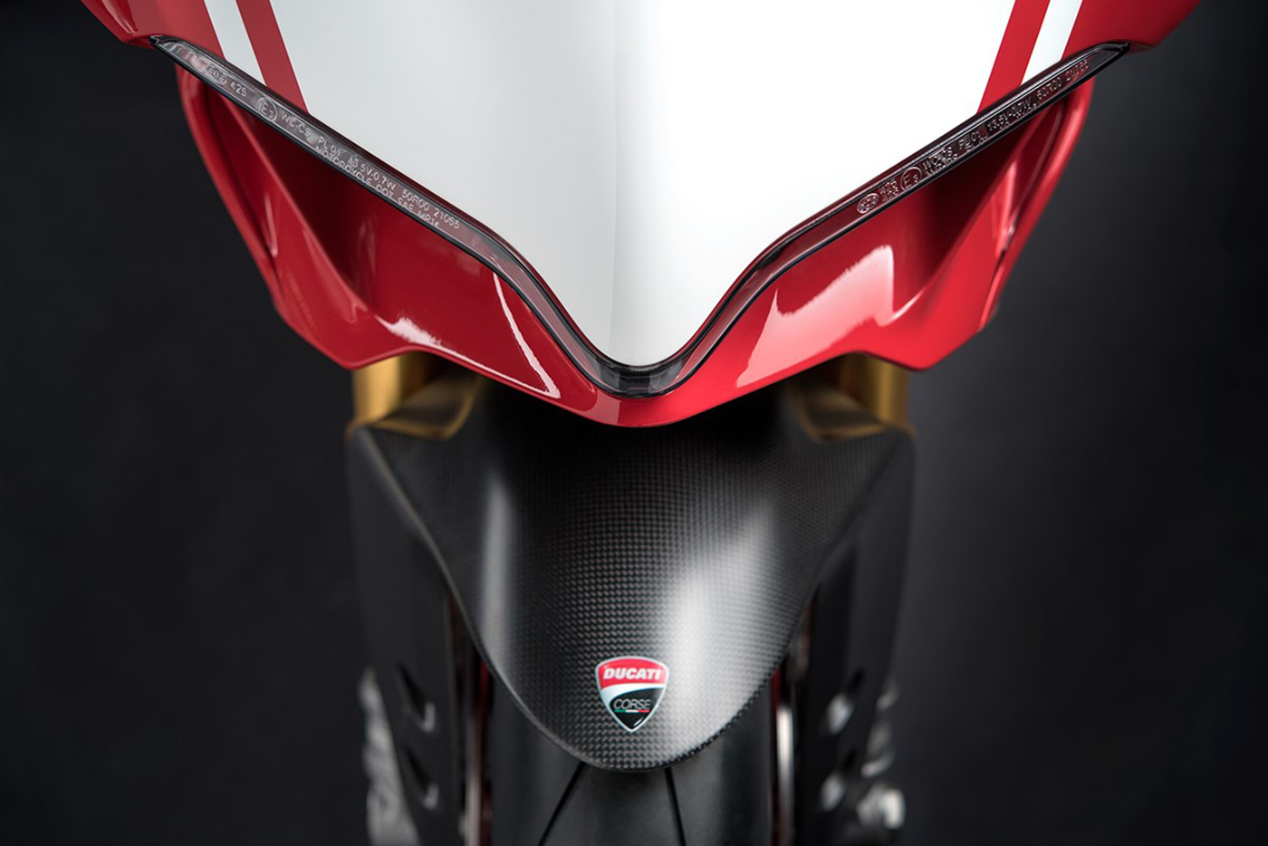 ducati-1299-panigale-r-final-edition-21.jpg