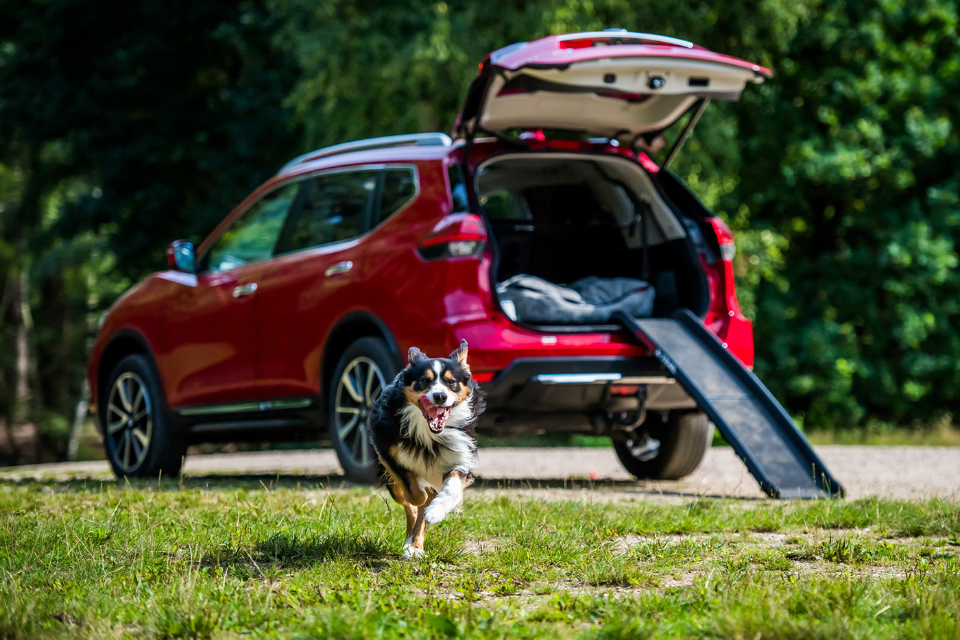 nissan-x-trail-paw-pack-edition-9.jpg