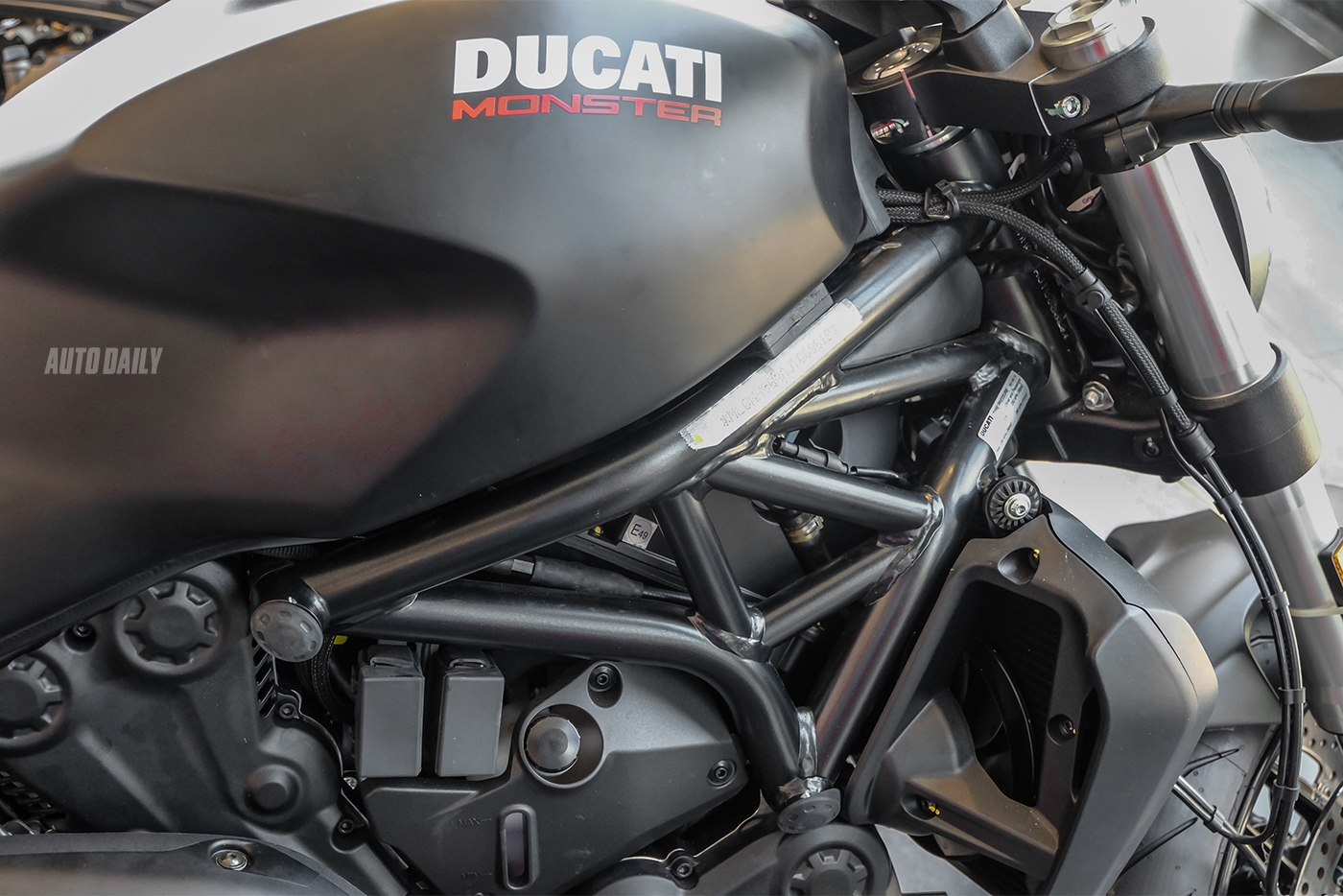 Ảnh chi tiết Ducati Monster 821 2018 ducati-monster-821-15.jpg