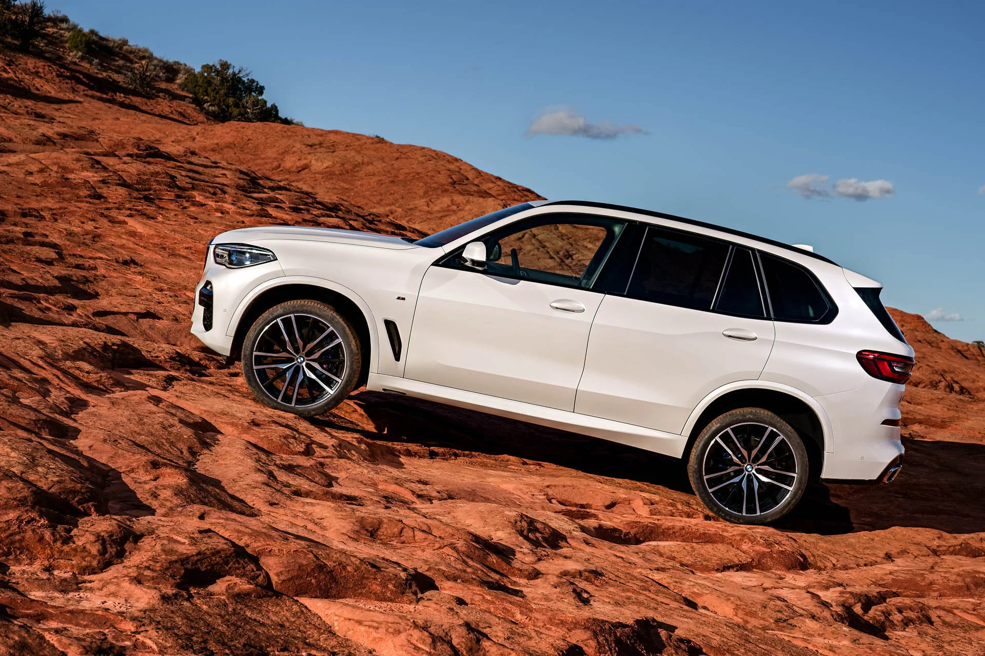 0884b502-2019-bmw-x5-06.jpg