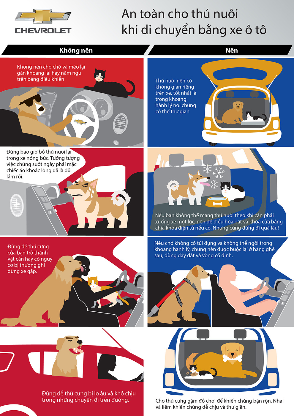 pet-safety-for-car-travel-vn.jpg
