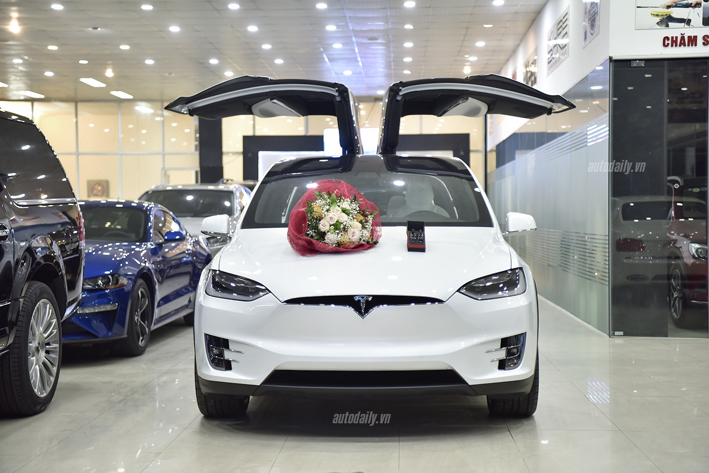 tesla-model-x-autodaily-dsc1454-copy.jpg