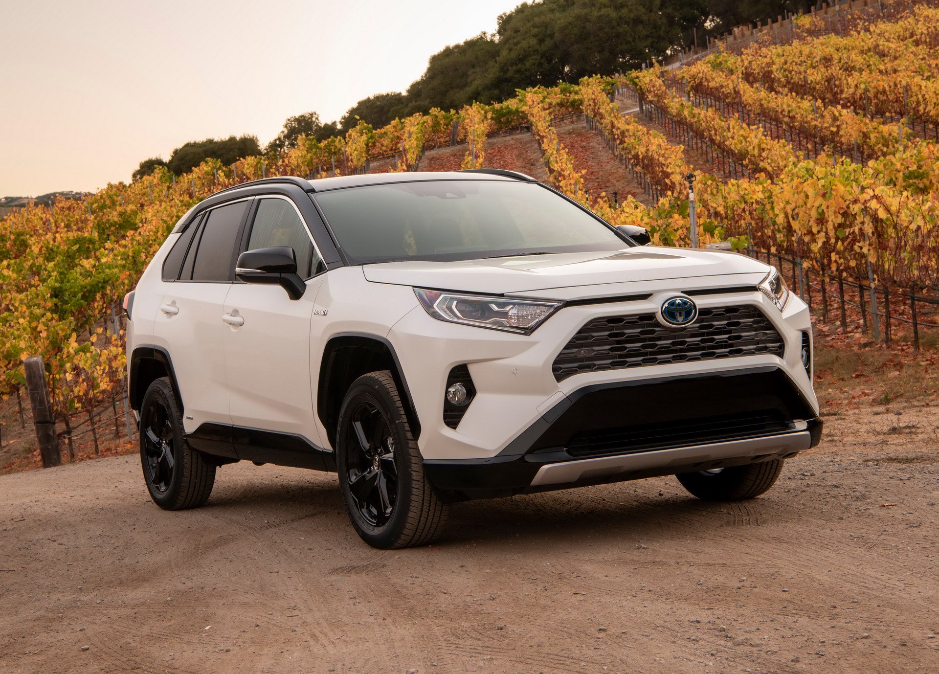 2019-toyota-rav4-04.jpg