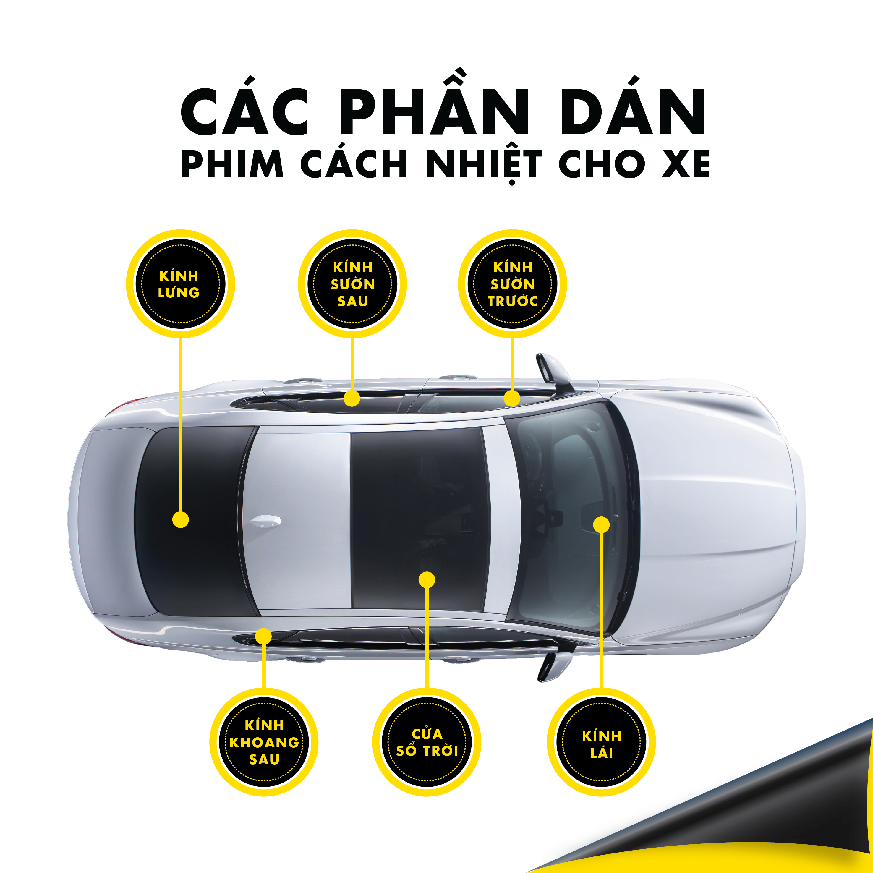 nhung-phan-can-dan-phim-cach-nhiet-cho-xe.png