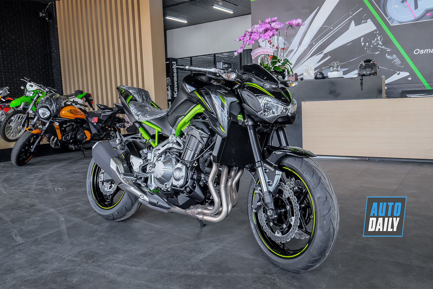 kawasaki-z900-abs-2019-17.jpg