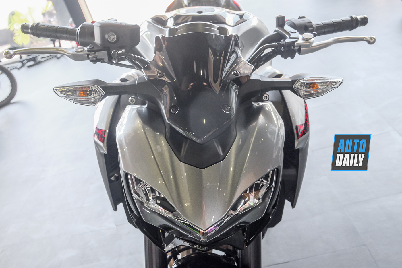 kawasaki-z900-abs-2019-20.jpg