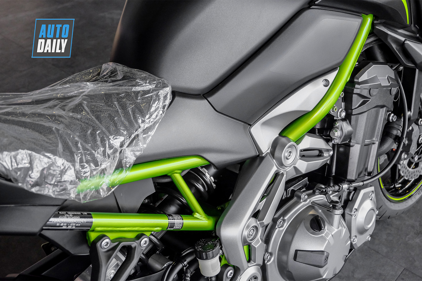 kawasaki-z900-abs-2019-8.jpg