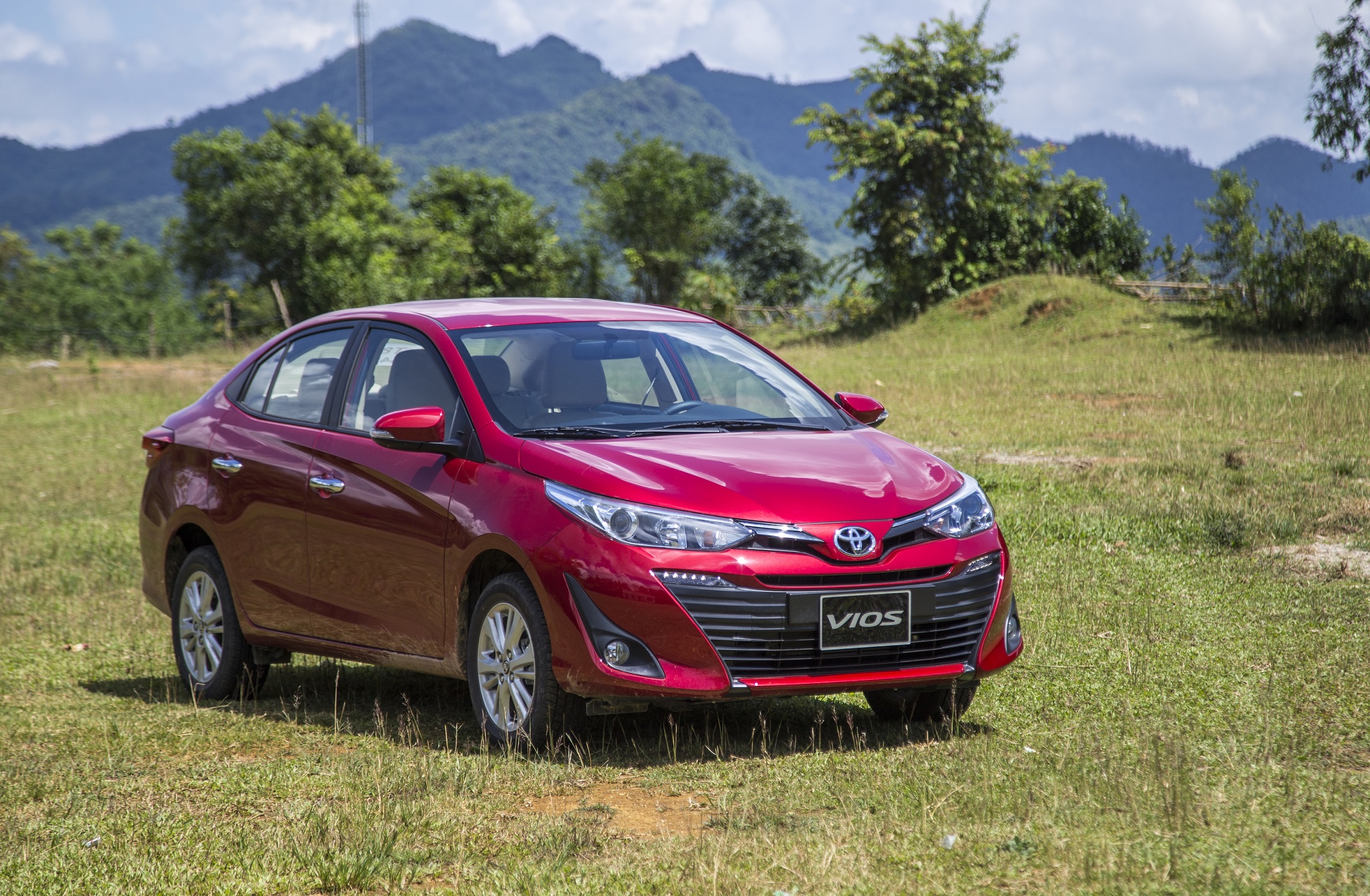 vios.JPG