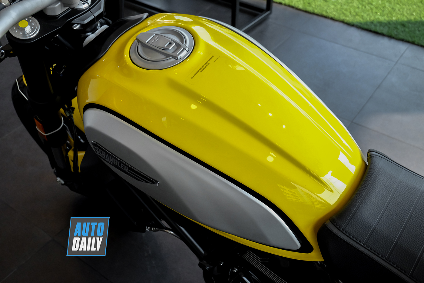 ducatin-scrambler-icon-2019-1.jpg