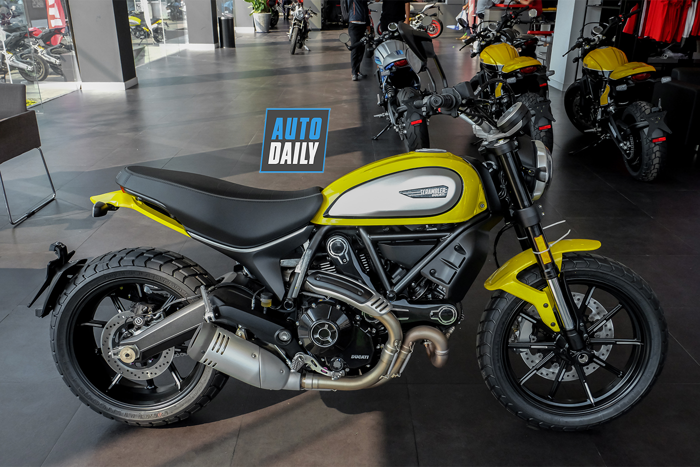 ducatin-scrambler-icon-2019-11.jpg