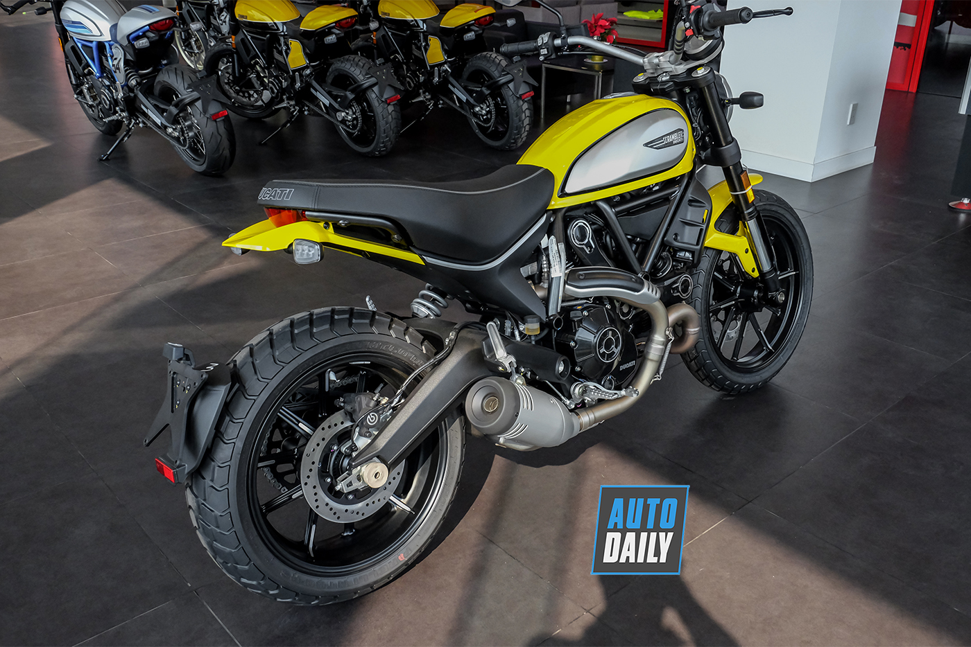 ducatin-scrambler-icon-2019-14.jpg