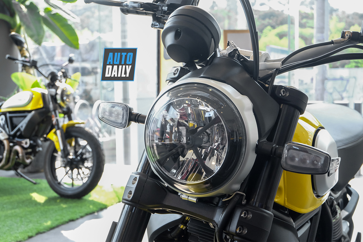 ducatin-scrambler-icon-2019-17.jpg
