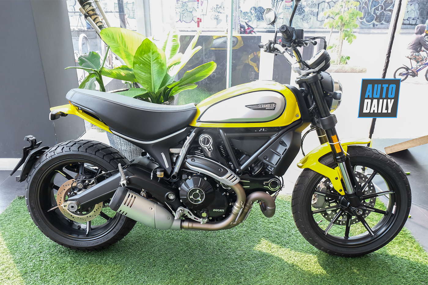 ducatin-scrambler-icon-2019-2.jpg