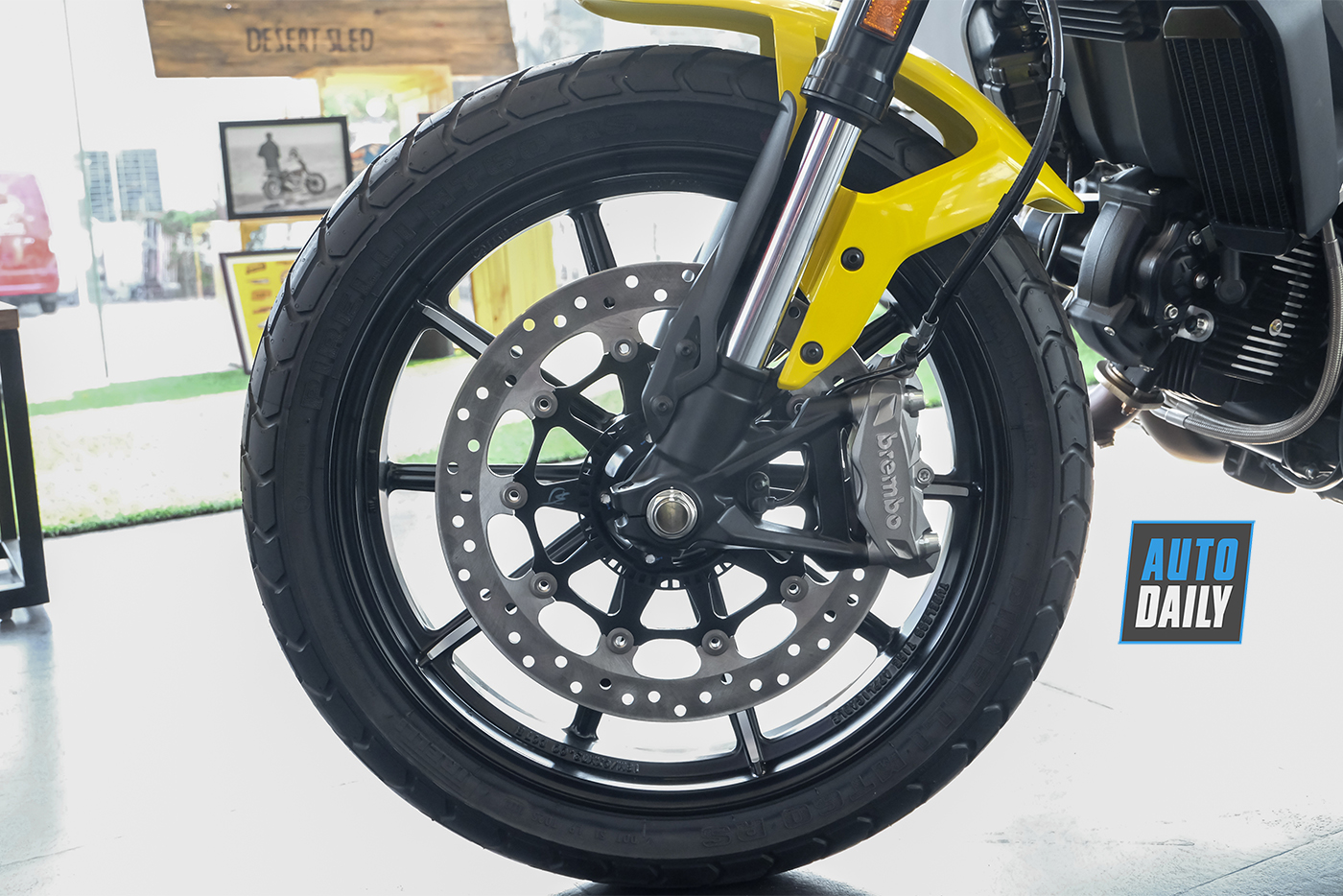 ducatin-scrambler-icon-2019-4.jpg