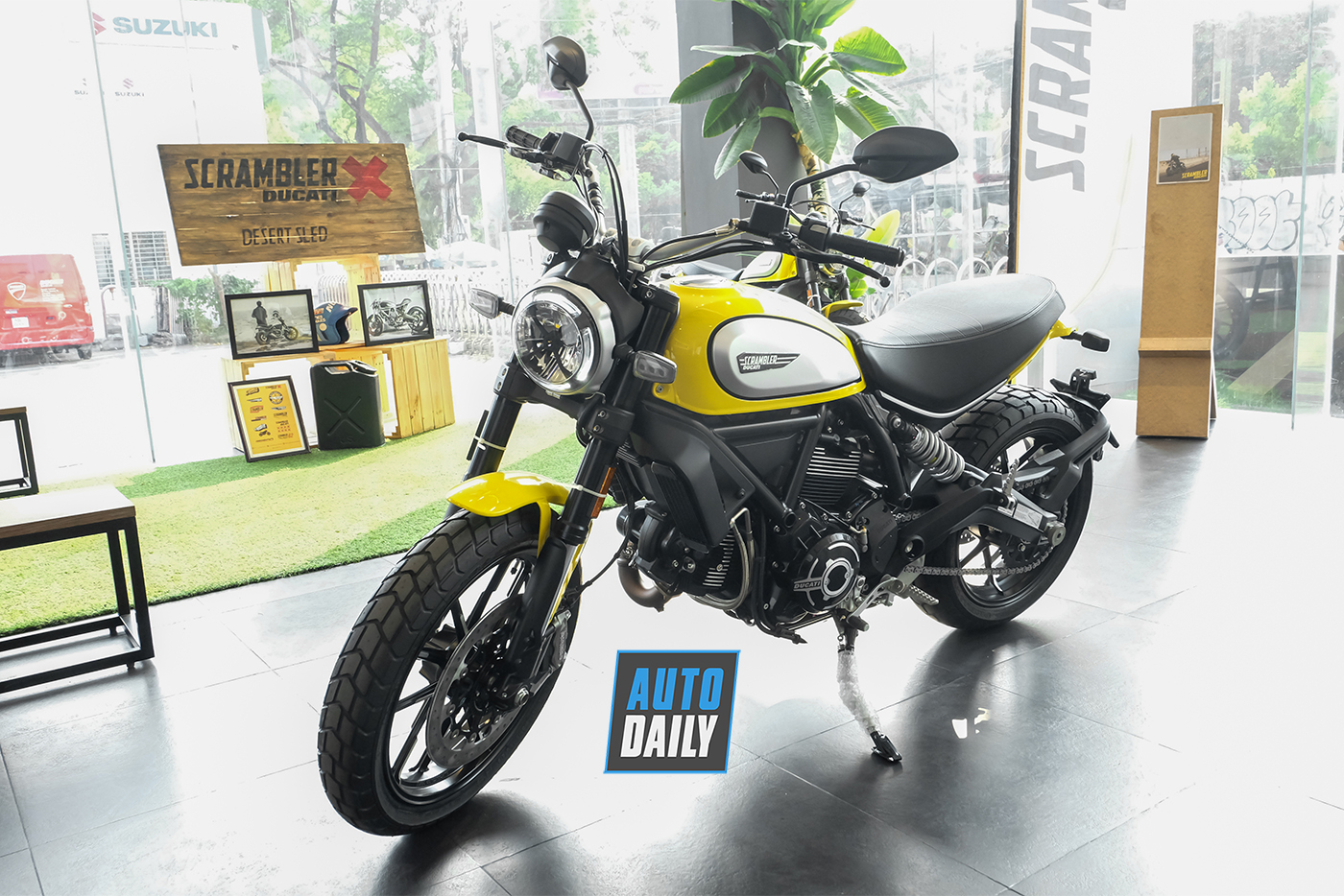 ducatin-scrambler-icon-2019-5.jpg