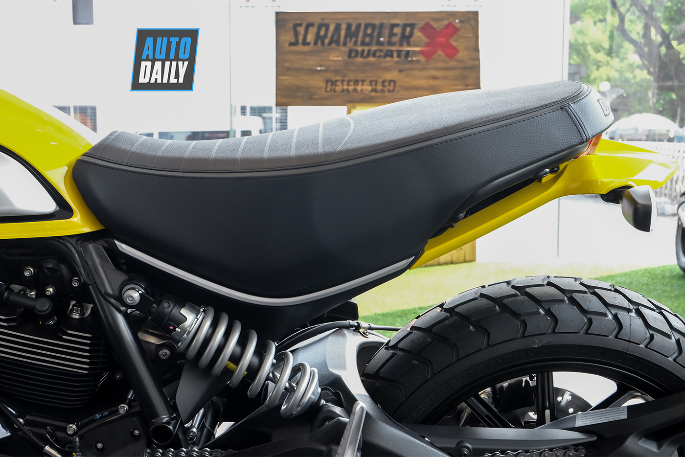 ducatin-scrambler-icon-2019-9.jpg