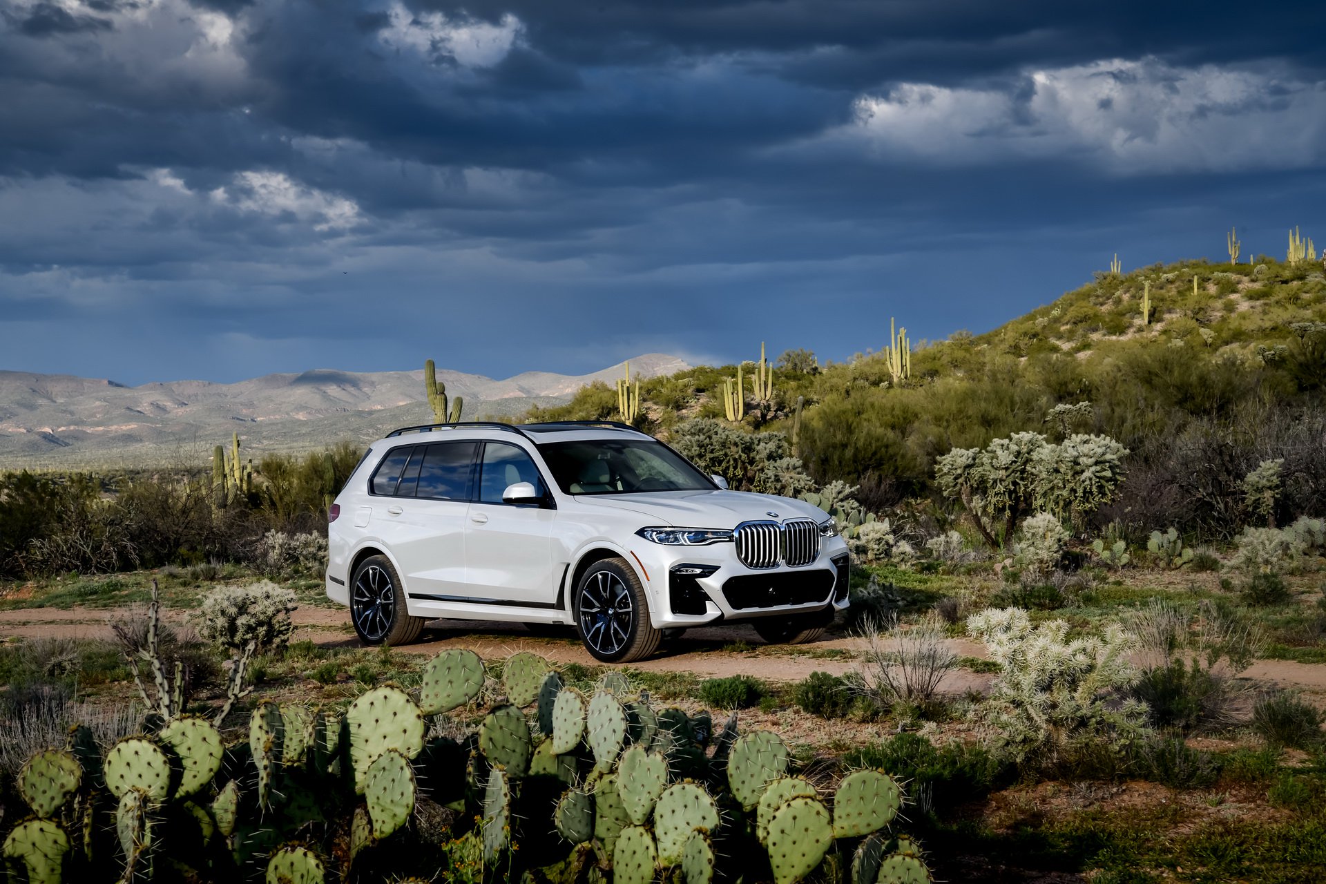 2019-bmw-x7-18.jpg