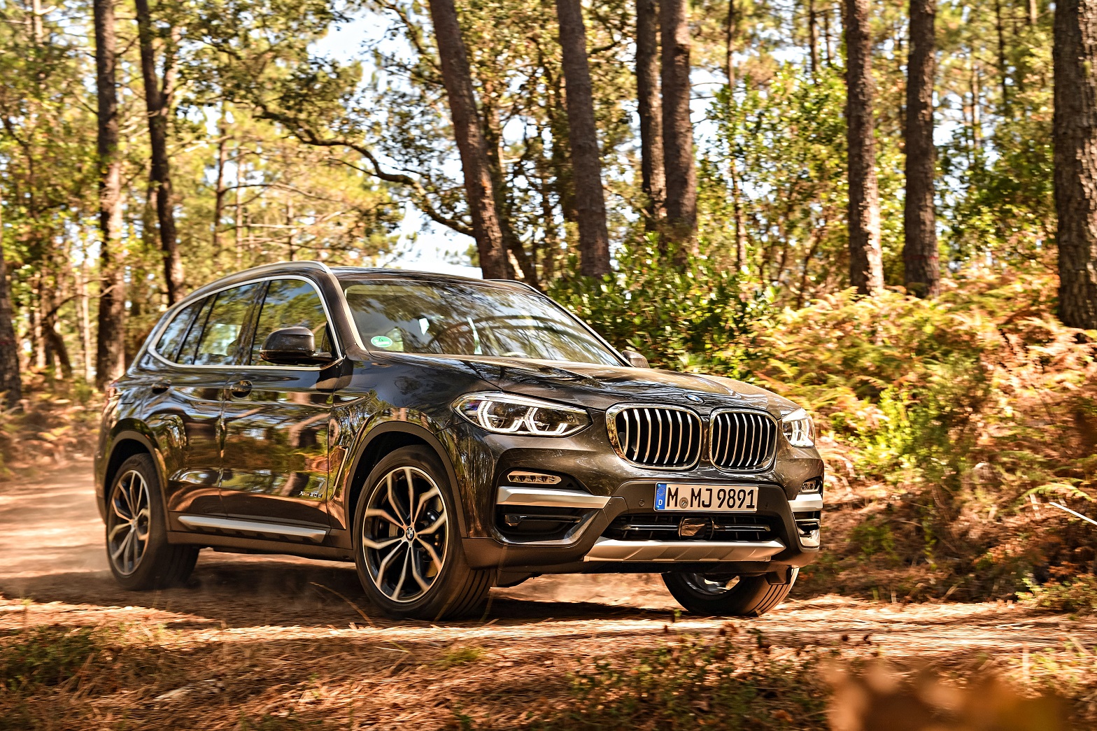 p90281641-highres-the-new-bmw-x3-xdriv.jpg