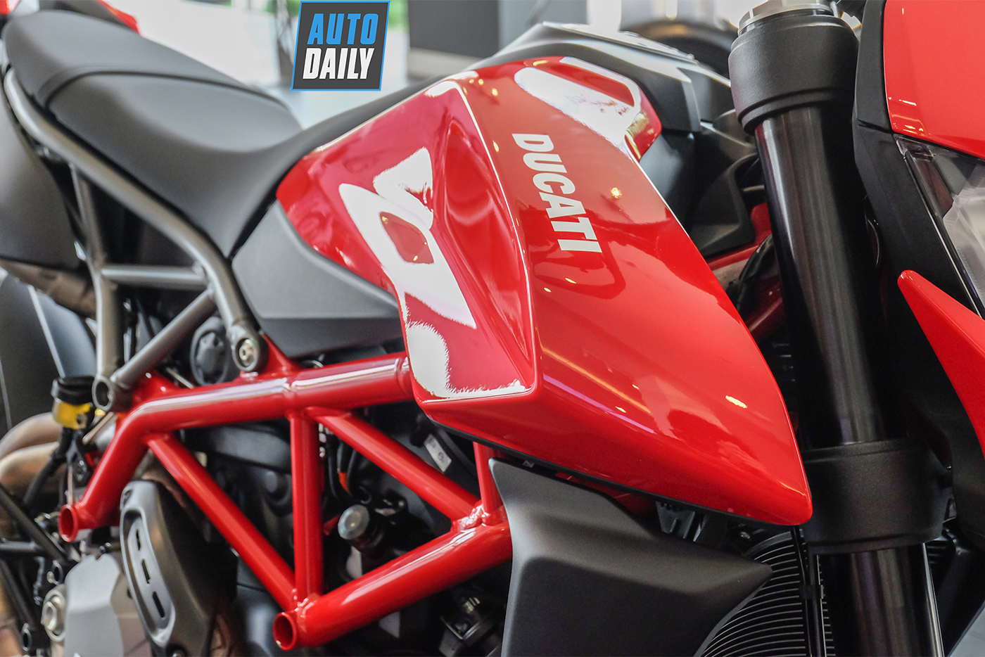 ducati-hypermotard-950-2019-72.jpg