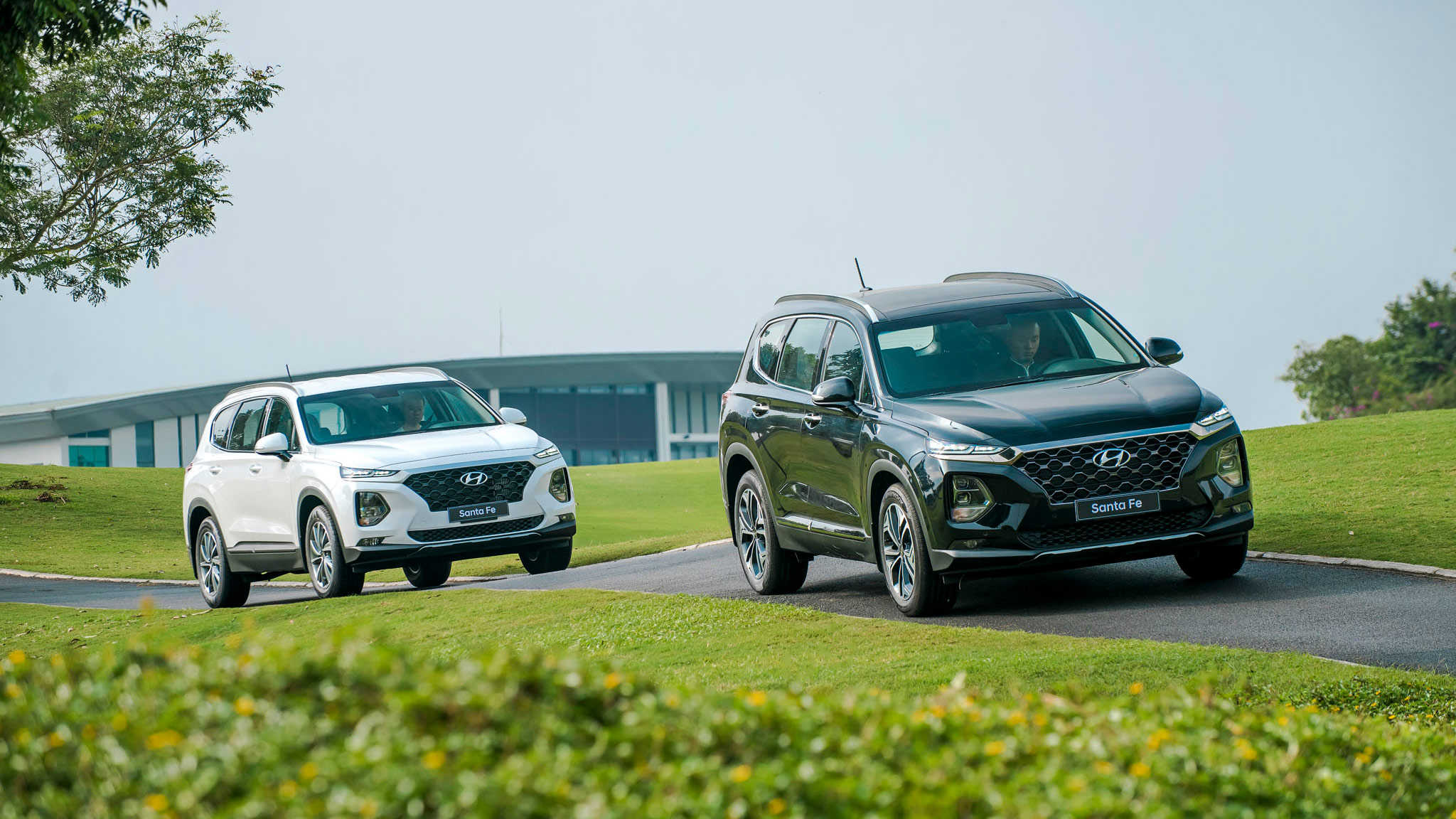 Phân khúc SUV 7 chỗ tháng 2/2020: Hyundai SantaFe đắt khách hơn Toyota Fortuner