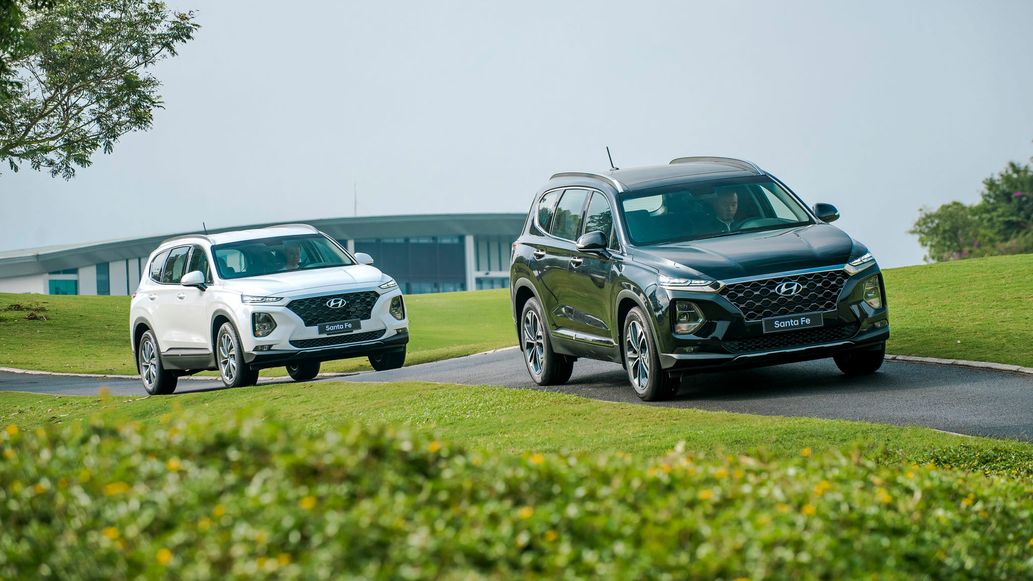 Phân khúc SUV 7 chỗ tháng 5/2020: Hyundai Santa Fe đắt khách hơn Toyota Fortuner