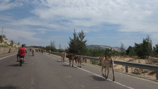 Khám phá Việt Nam - vùng đất bị 