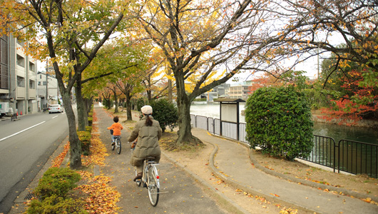 5 thành phố đạp xe nhiều nhất châu Á Bicycle-2.jpg