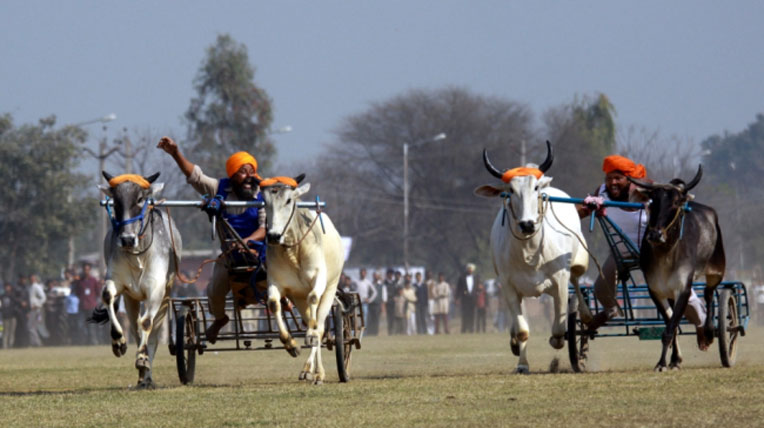 Xem người Ấn Độ chơi trò “độc” với xe autodaily-olympic-ando-(19).jpg