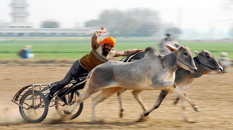 Xem người Ấn Độ chơi trò “độc” với xe autodaily-olympic-ando-(8).jpg