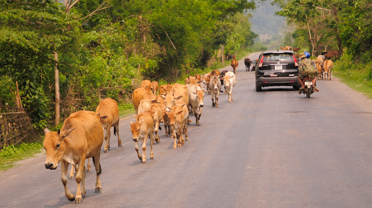 Ngày 5 hành trình Bắc Lào: Đường đến cố đô Luông Pra Băng _AUT6191.jpg