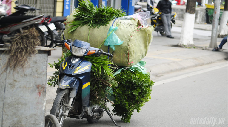 Người Việt làm tỉ thứ việc trên xe máy _AUT9557.jpg