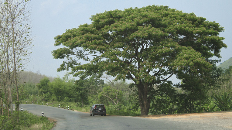 Ngày 5 hành trình Bắc Lào: Đường đến cố đô Luông Pra Băng _EOL7242.jpg