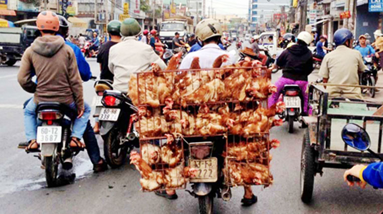 Người Việt làm tỉ thứ việc trên xe máy autodaily-xe-may.jpg