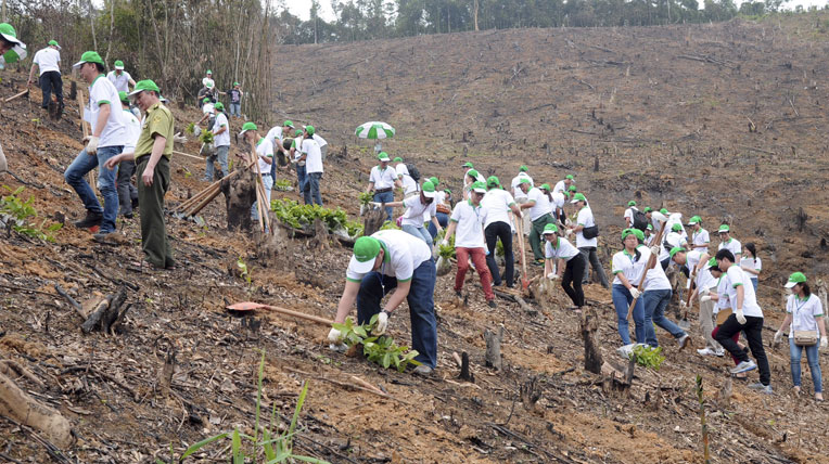 HVN tổ chức “Ngày hội trồng rừng” năm thứ 2 ngay-hoi-trong-rung (2).jpg