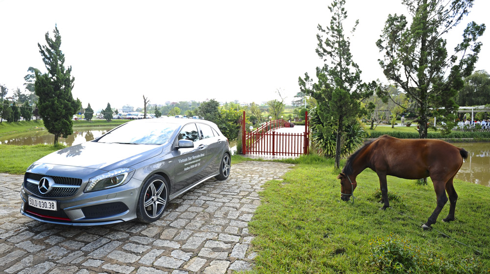 Autodaily Tour 2014, ngày 6: Dịu dàng Đà Lạt DSC_5995.jpg