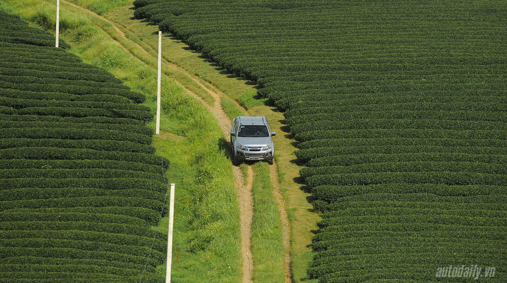 Bán tải Isuzu D-MAX chinh phục cao nguyên Mộc Châu Isuzu-dmax-2013