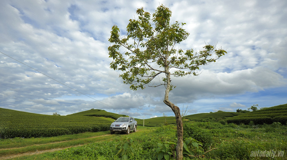 Bán tải Isuzu D-MAX chinh phục cao nguyên Mộc Châu Isuzu-dmax-2013