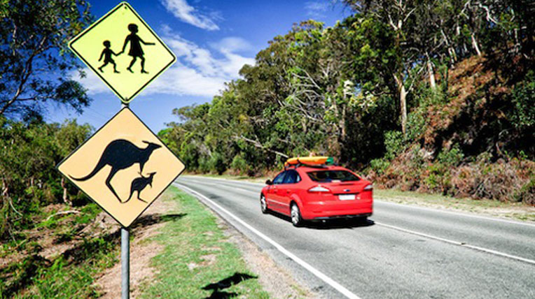 Khó như lấy bằng lái xe ở Australia australia-driving-license (2).jpg