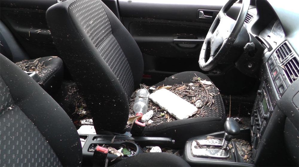 Nội thất ôtô “bẩn” hơn cả toilet noi that o to