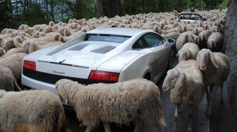 Siêu xe và những tình huống hài “khó đỡ” sieu xe (8).jpg